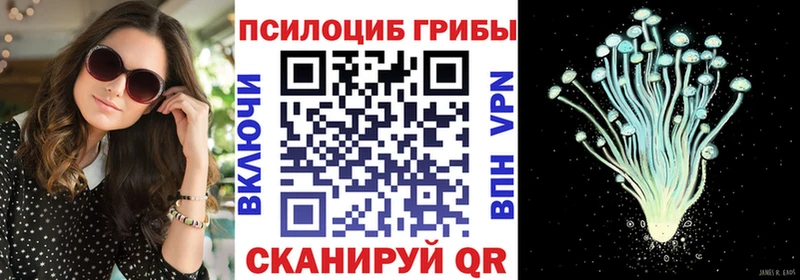 где купить наркоту  Лабытнанги  Галлюциногенные грибы Psilocybe 